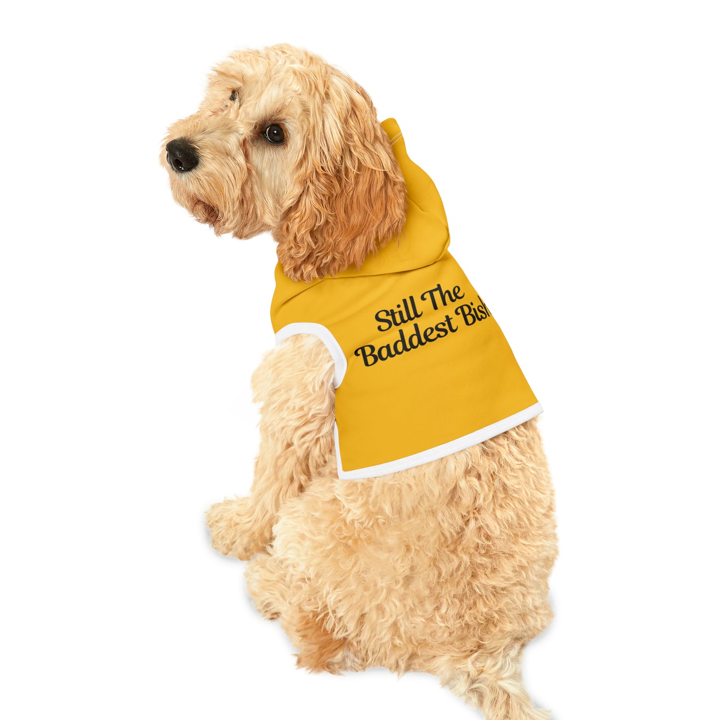 Still the Baddest Pet Hoodie (Yellow)