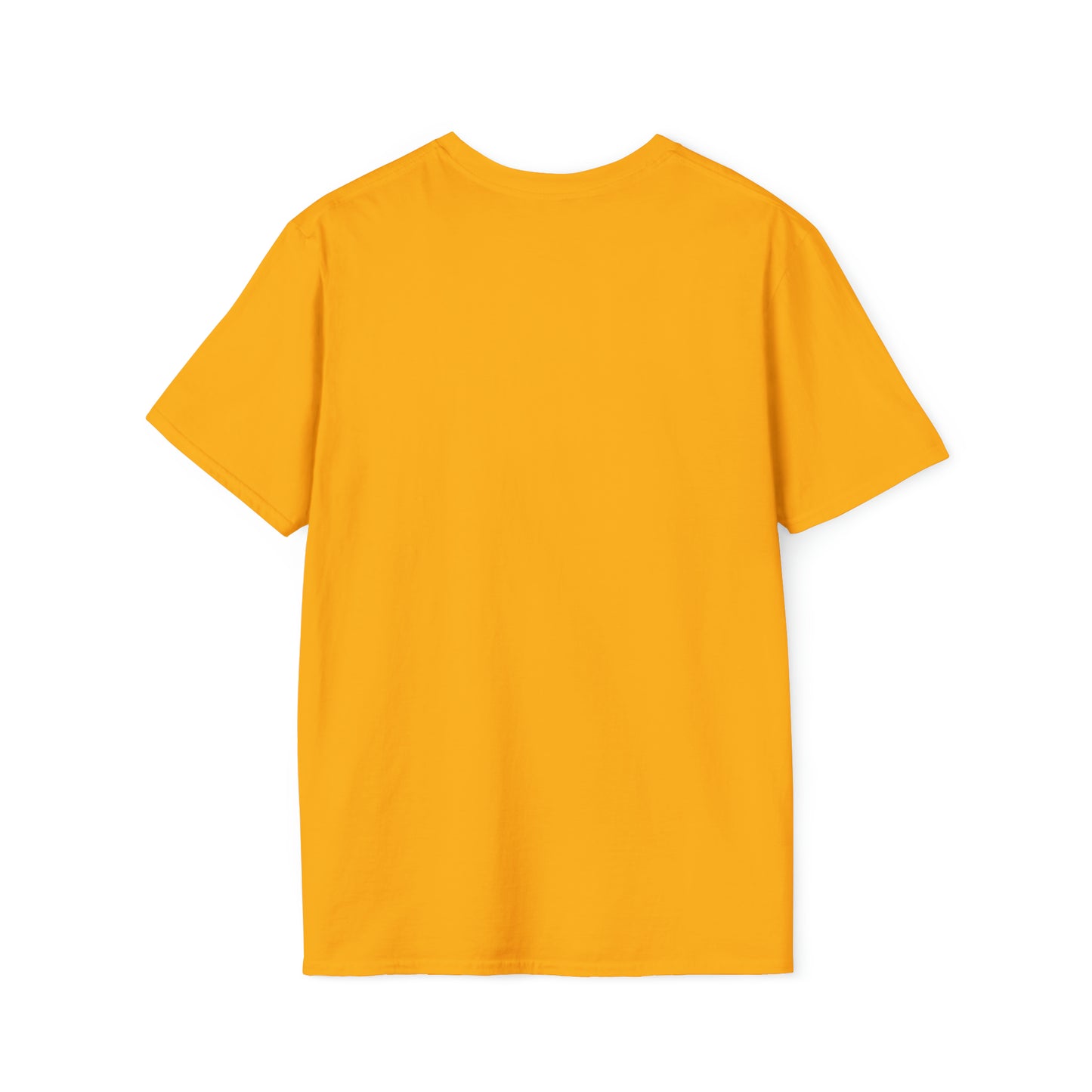 Believe In Yourself Unisex Softstyle T-Shirt (Multi-colors)