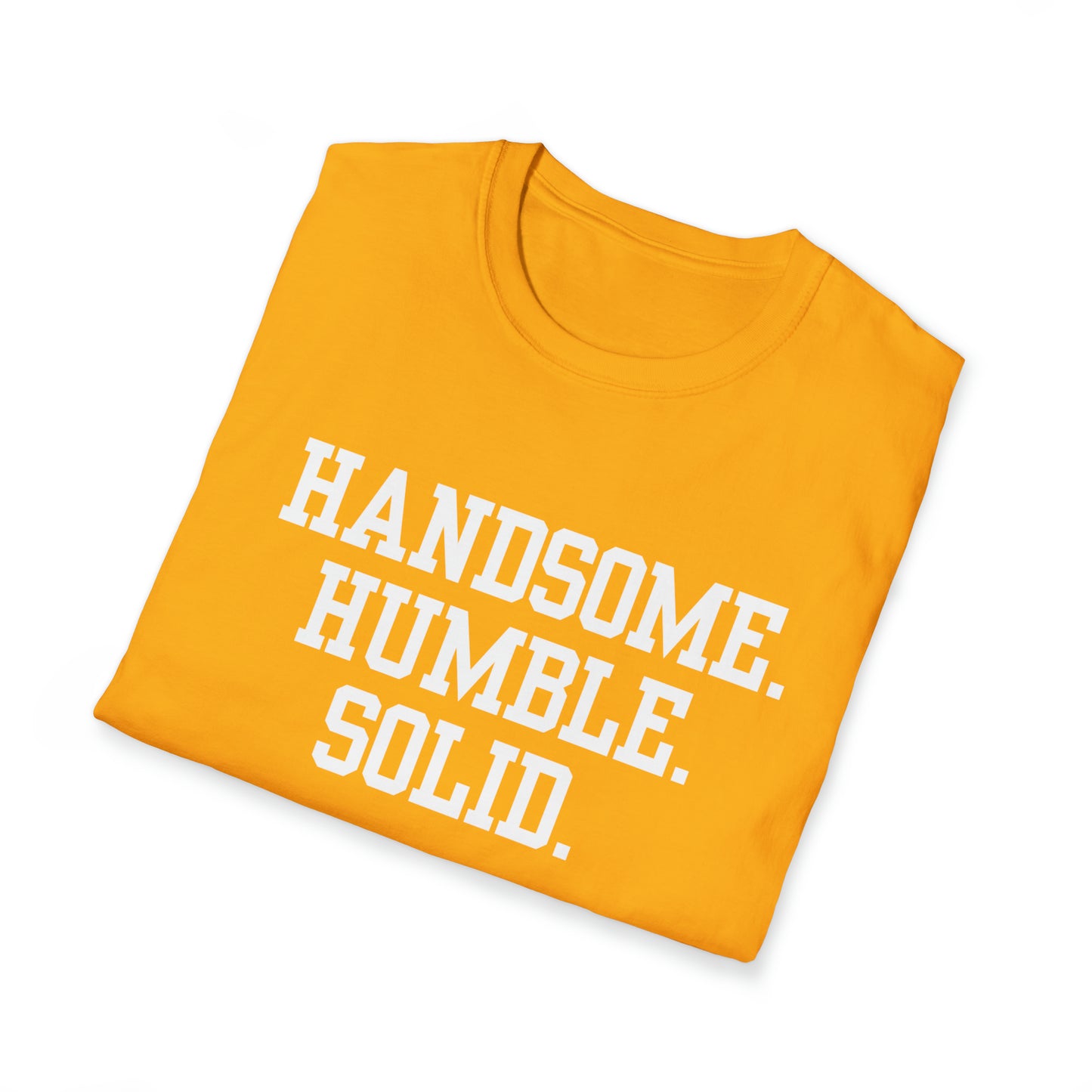 Handsome Unisex Softstyle T-Shirt (Multiple Colors)